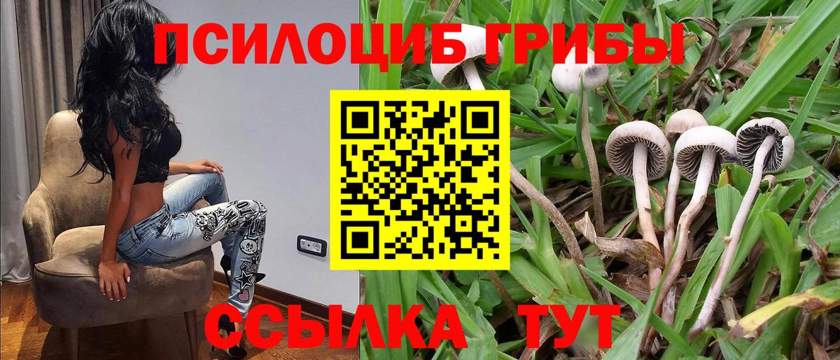 Псилоцибиновые грибы ЛСД Камышин