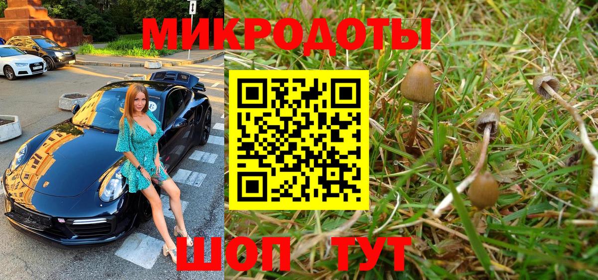Псилоцибиновые грибы мухоморы  Галлюциногенные грибы Magic Shrooms  Вход с VPN  Камышин 